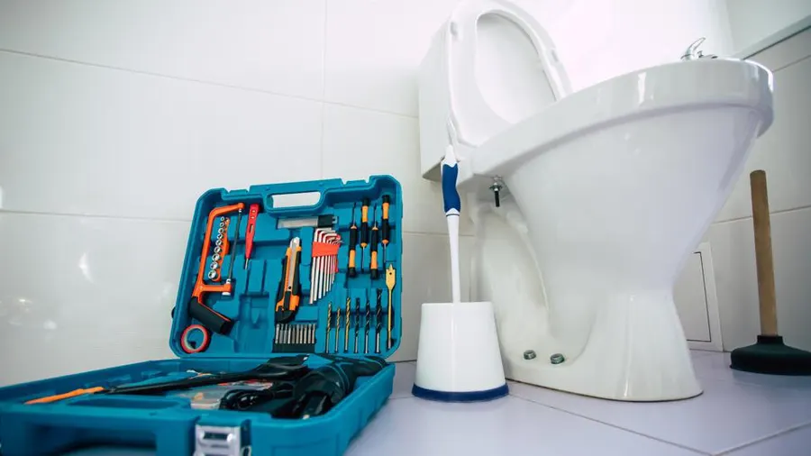 featured-image-toilet.jpeg-2 featured-image-toilet.jpeg-2
