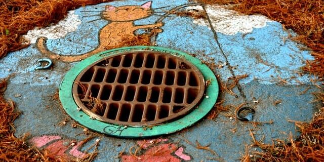 Maintain The Drain: The Importance of Regular Drain Cleaning