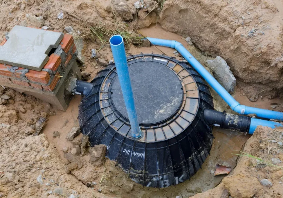 septic septic